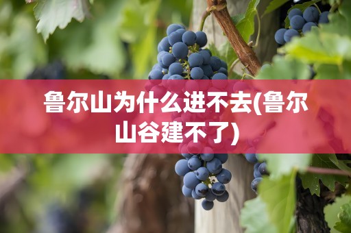 鲁尔山为什么进不去(鲁尔山谷建不了)