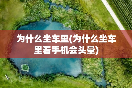 为什么坐车里(为什么坐车里看手机会头晕)