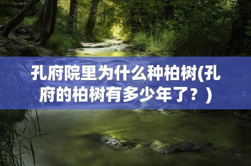 孔府院里为什么种柏树(孔府的柏树有多少年了？)