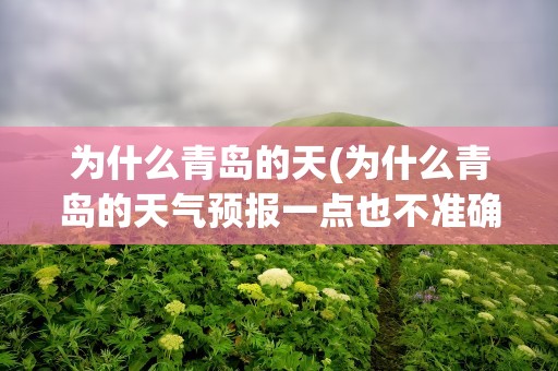 为什么青岛的天(为什么青岛的天气预报一点也不准确)