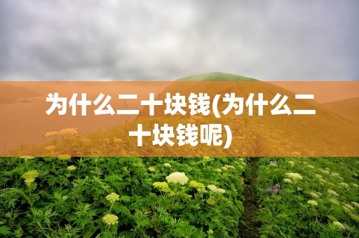 为什么二十块钱(为什么二十块钱呢)