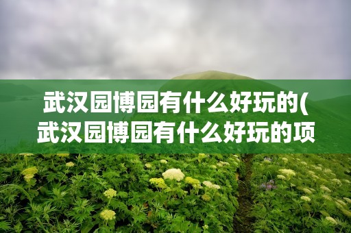 武汉园博园有什么好玩的(武汉园博园有什么好玩的项目)