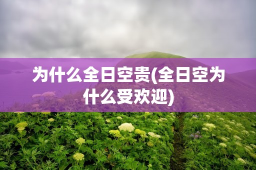为什么全日空贵(全日空为什么受欢迎)