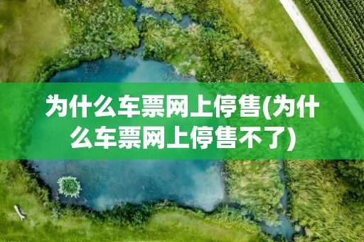 为什么车票网上停售(为什么车票网上停售不了)