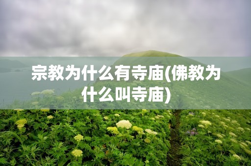 宗教为什么有寺庙(佛教为什么叫寺庙)