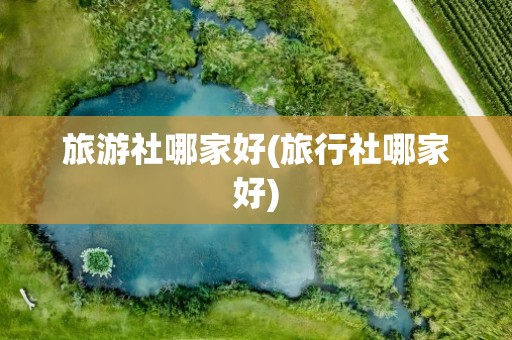 旅游社哪家好(旅行社哪家好)