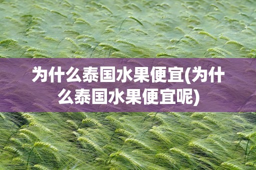 为什么泰国水果便宜(为什么泰国水果便宜呢)