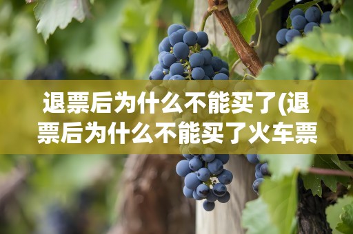 退票后为什么不能买了(退票后为什么不能买了火车票)