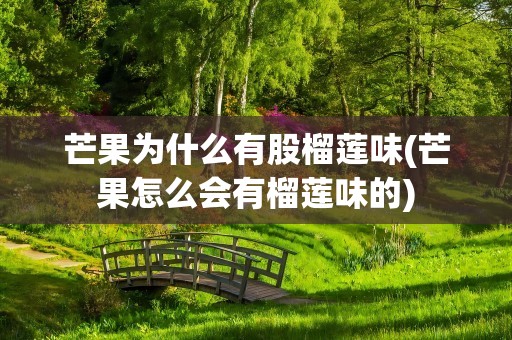 芒果为什么有股榴莲味(芒果怎么会有榴莲味的)