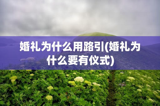 婚礼为什么用路引(婚礼为什么要有仪式)