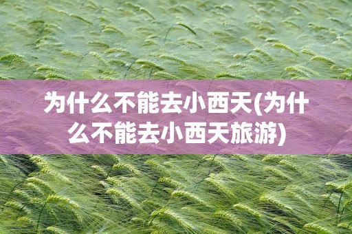 为什么不能去小西天(为什么不能去小西天旅游)