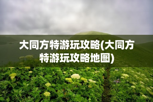 大同方特游玩攻略(大同方特游玩攻略地图)