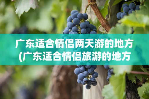 广东适合情侣两天游的地方(广东适合情侣旅游的地方)