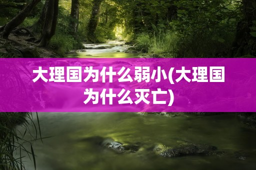 大理国为什么弱小(大理国为什么灭亡)