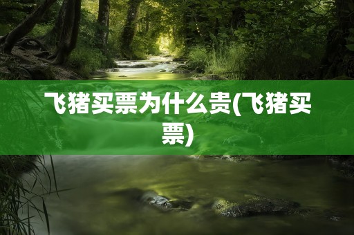 飞猪买票为什么贵(飞猪买票)