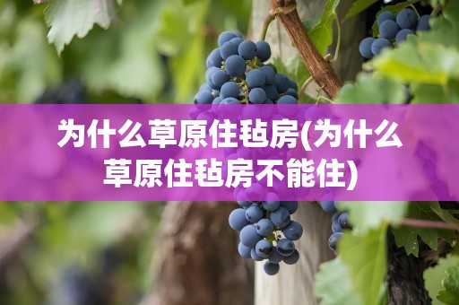 为什么草原住毡房(为什么草原住毡房不能住)