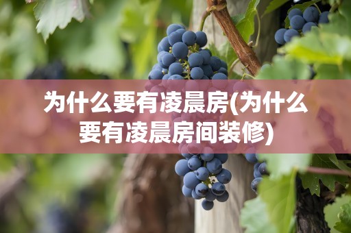 为什么要有凌晨房(为什么要有凌晨房间装修)