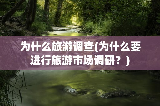 为什么旅游调查(为什么要进行旅游市场调研？)