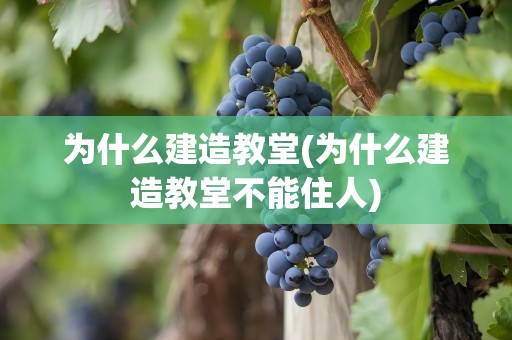 为什么建造教堂(为什么建造教堂不能住人)