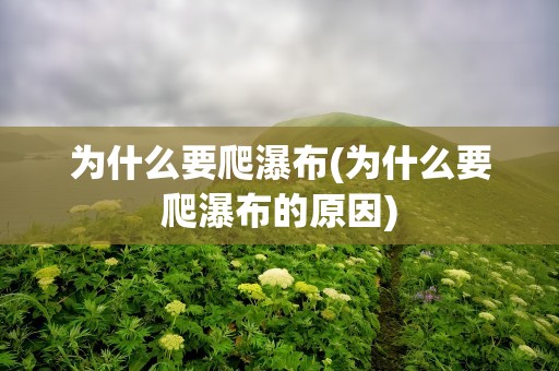 为什么要爬瀑布(为什么要爬瀑布的原因)