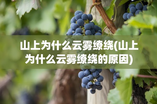 山上为什么云雾缭绕(山上为什么云雾缭绕的原因)