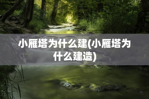 小雁塔为什么建(小雁塔为什么建造)