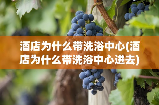 酒店为什么带洗浴中心(酒店为什么带洗浴中心进去)