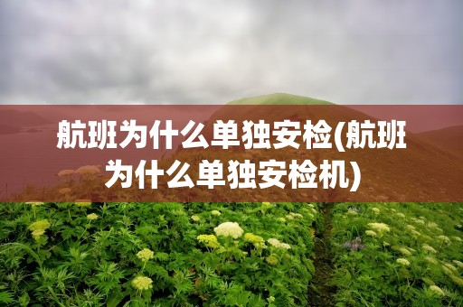 航班为什么单独安检(航班为什么单独安检机)