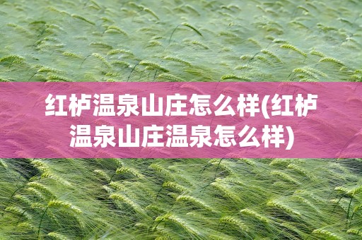 红栌温泉山庄怎么样(红栌温泉山庄温泉怎么样)