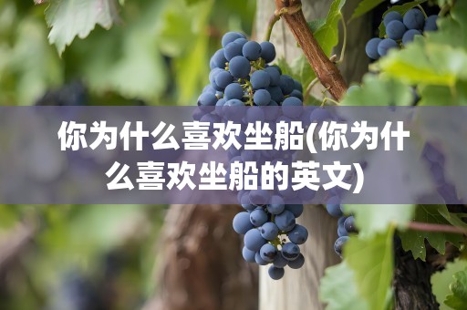 你为什么喜欢坐船(你为什么喜欢坐船的英文)