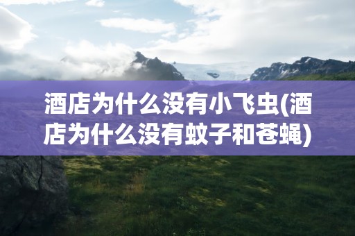 酒店为什么没有小飞虫(酒店为什么没有蚊子和苍蝇)