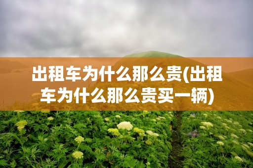 出租车为什么那么贵(出租车为什么那么贵买一辆)
