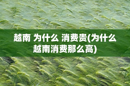 越南 为什么 消费贵(为什么越南消费那么高)