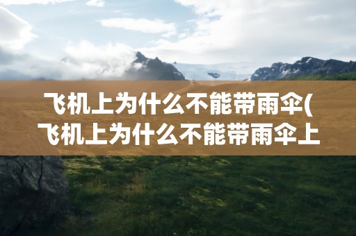 飞机上为什么不能带雨伞(飞机上为什么不能带雨伞上去)