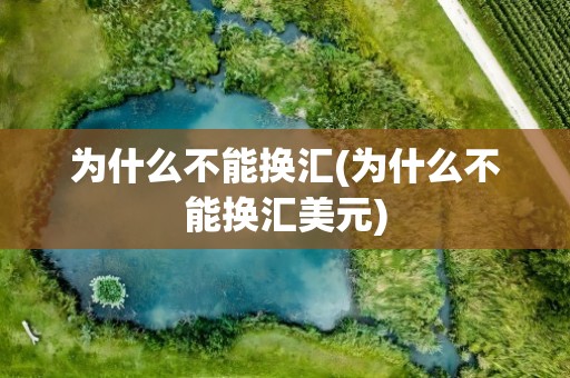 为什么不能换汇(为什么不能换汇美元)