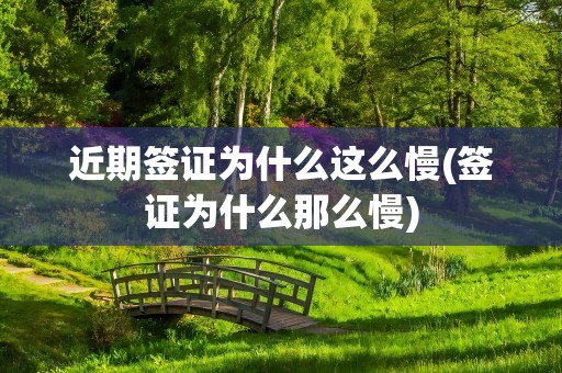 近期签证为什么这么慢(签证为什么那么慢)