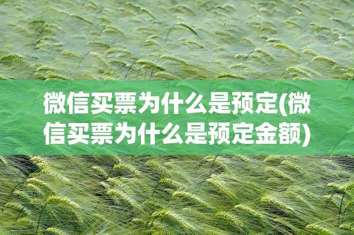 微信买票为什么是预定(微信买票为什么是预定金额)