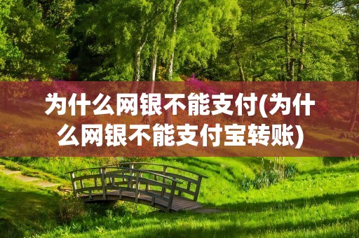 为什么网银不能支付(为什么网银不能支付宝转账)