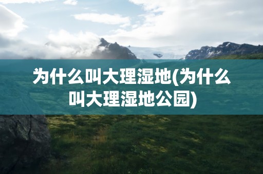 为什么叫大理湿地(为什么叫大理湿地公园)