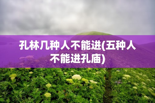 孔林几种人不能进(五种人不能进孔庙)