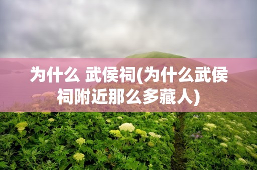 为什么 武侯祠(为什么武侯祠附近那么多藏人)