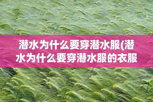 潜水为什么要穿潜水服(潜水为什么要穿潜水服的衣服)