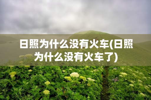 日照为什么没有火车(日照为什么没有火车了)