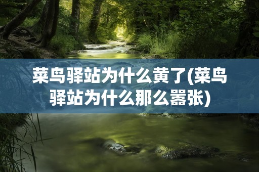 菜鸟驿站为什么黄了(菜鸟驿站为什么那么嚣张)