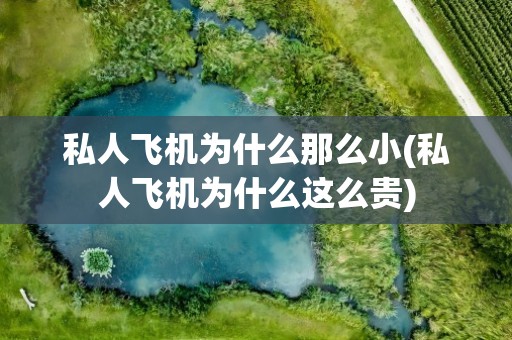 私人飞机为什么那么小(私人飞机为什么这么贵)