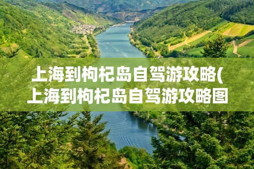 上海到枸杞岛自驾游攻略(上海到枸杞岛自驾游攻略图)