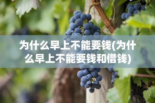 为什么早上不能要钱(为什么早上不能要钱和借钱)