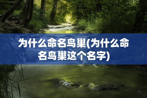 为什么命名鸟巢(为什么命名鸟巢这个名字)