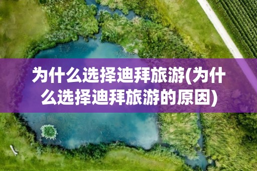 为什么选择迪拜旅游(为什么选择迪拜旅游的原因)