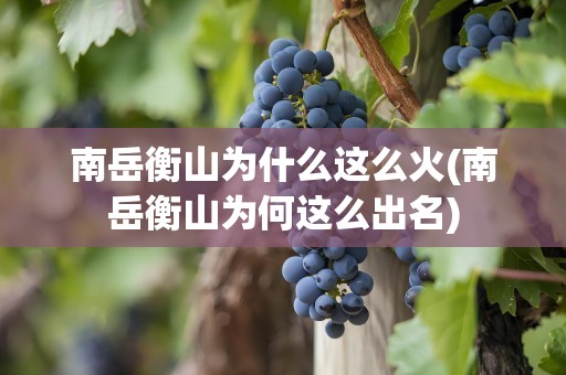 南岳衡山为什么这么火(南岳衡山为何这么出名)